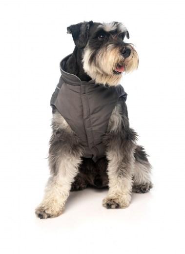 FZAW201-7_Jacket_TheStormchaser_DarkGrey_Dog_6_2000x[1]